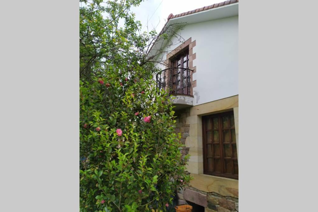 Casa Las Lindes Valle De Cabuerniga , Cantabria Exterior photo